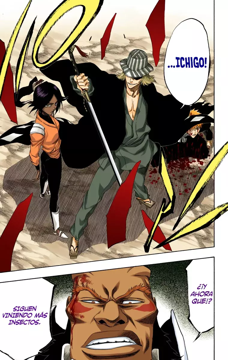 Bleach (Color) capítulo 193, página 21