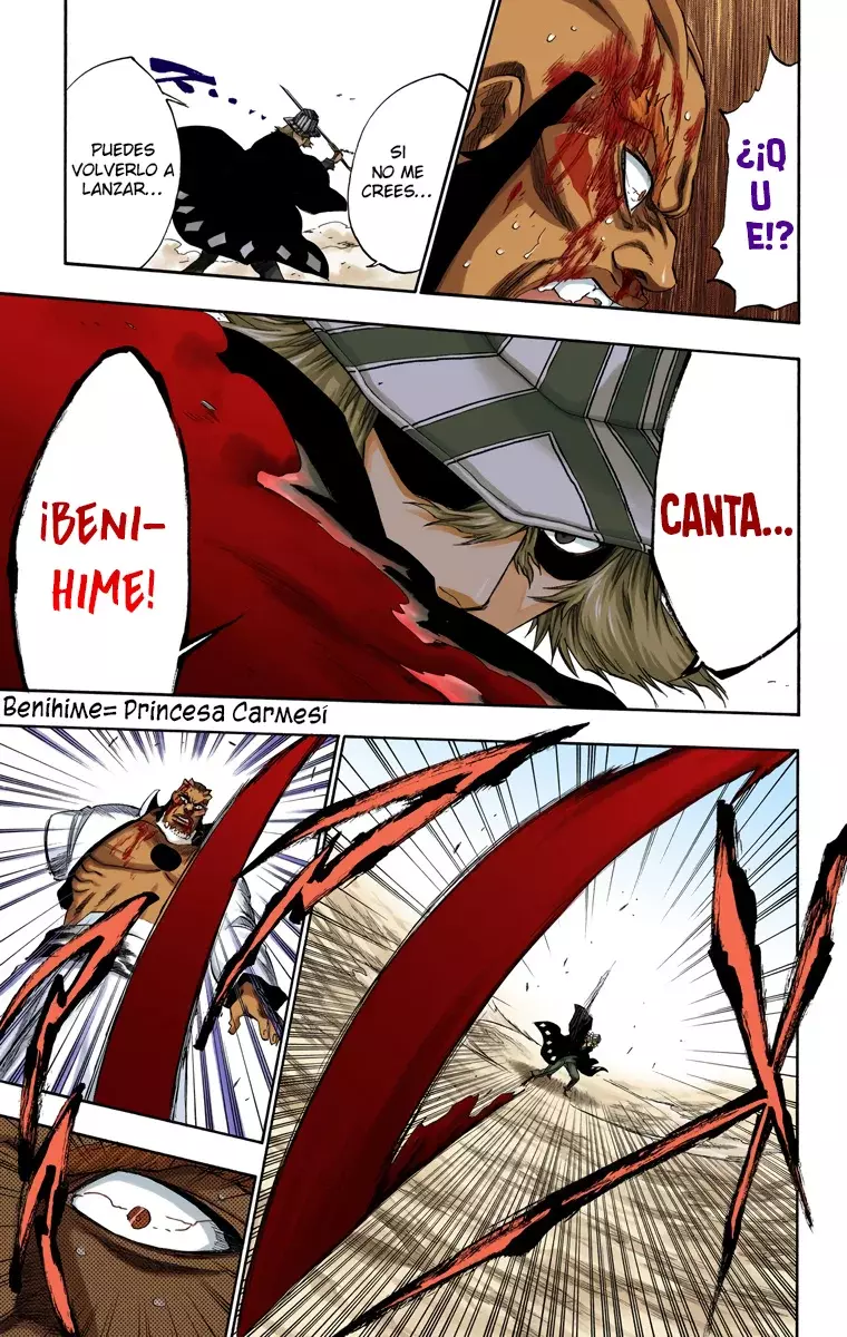 Bleach (Color) capítulo 194, página 14