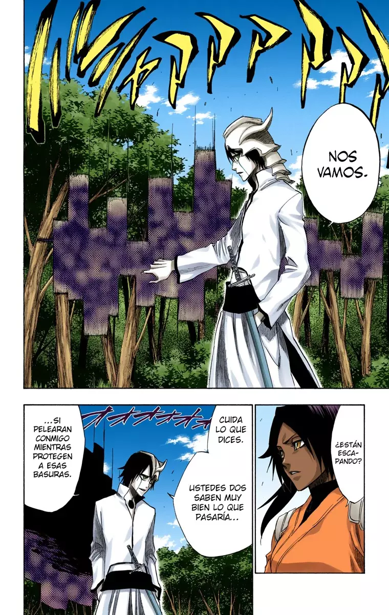 Bleach (Color) capítulo 194, página 17