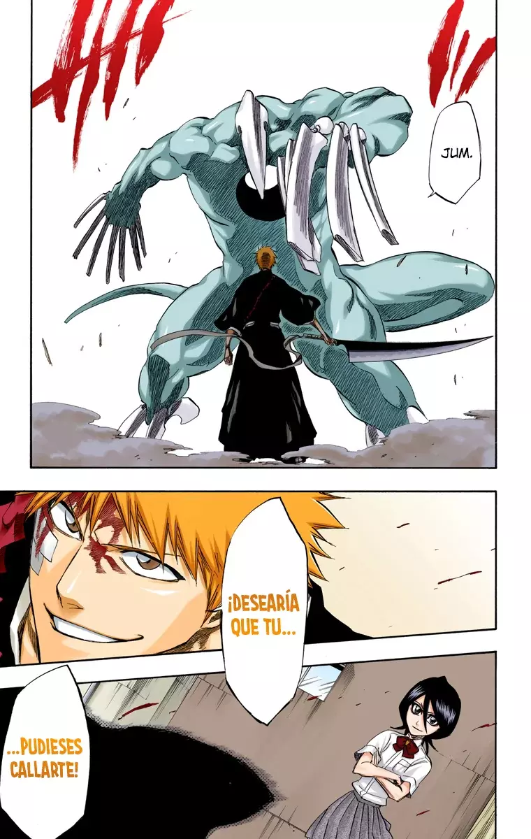 Bleach (Color) capítulo 196, página 16