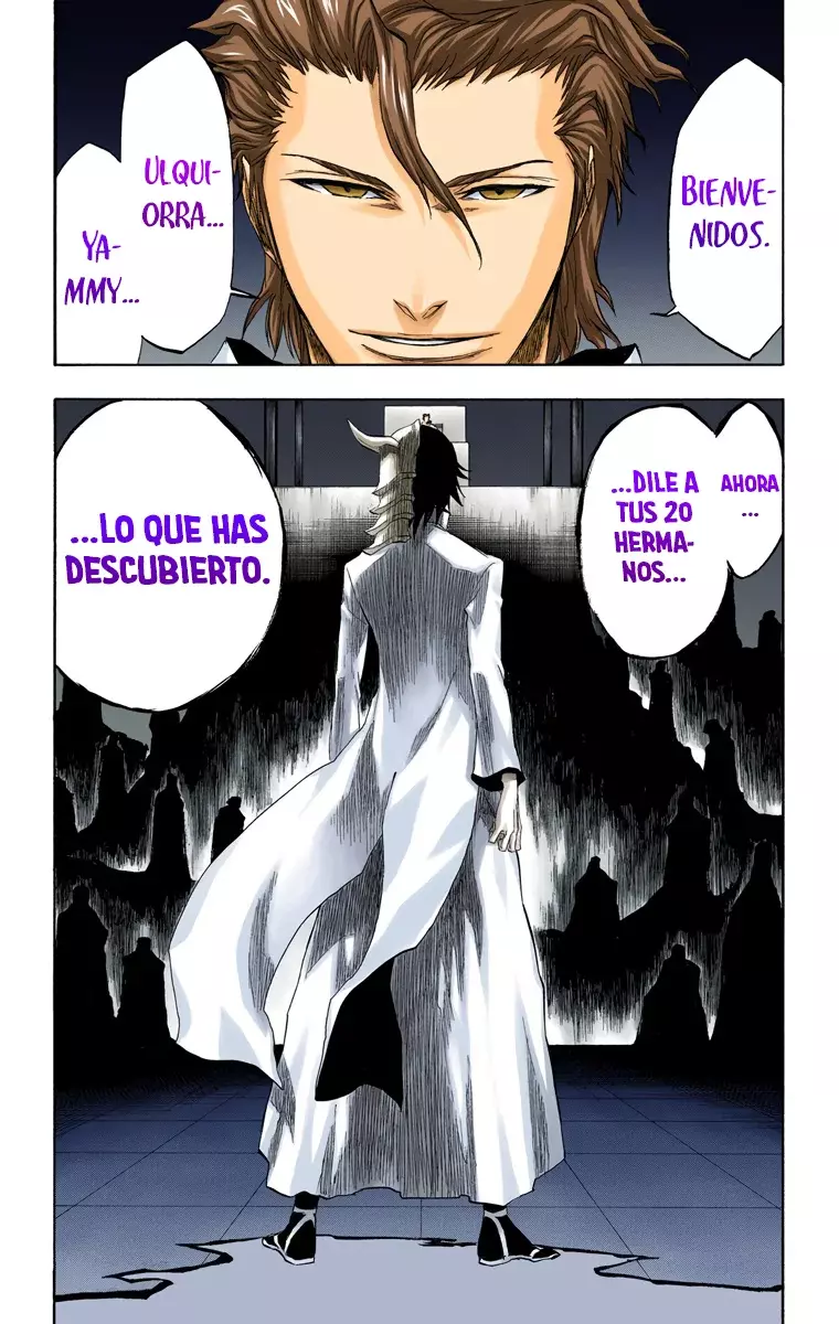 Bleach (Color) capítulo 197, página 20