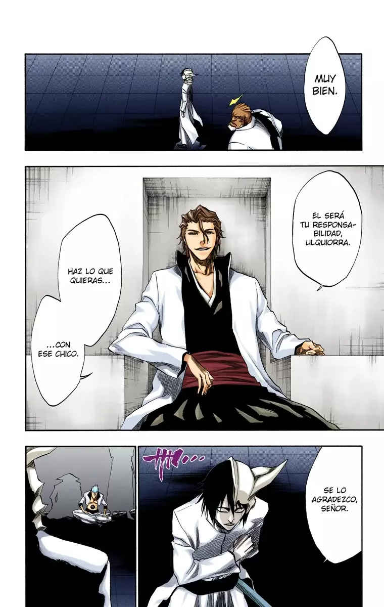 Bleach (Color) capítulo 198, página 13