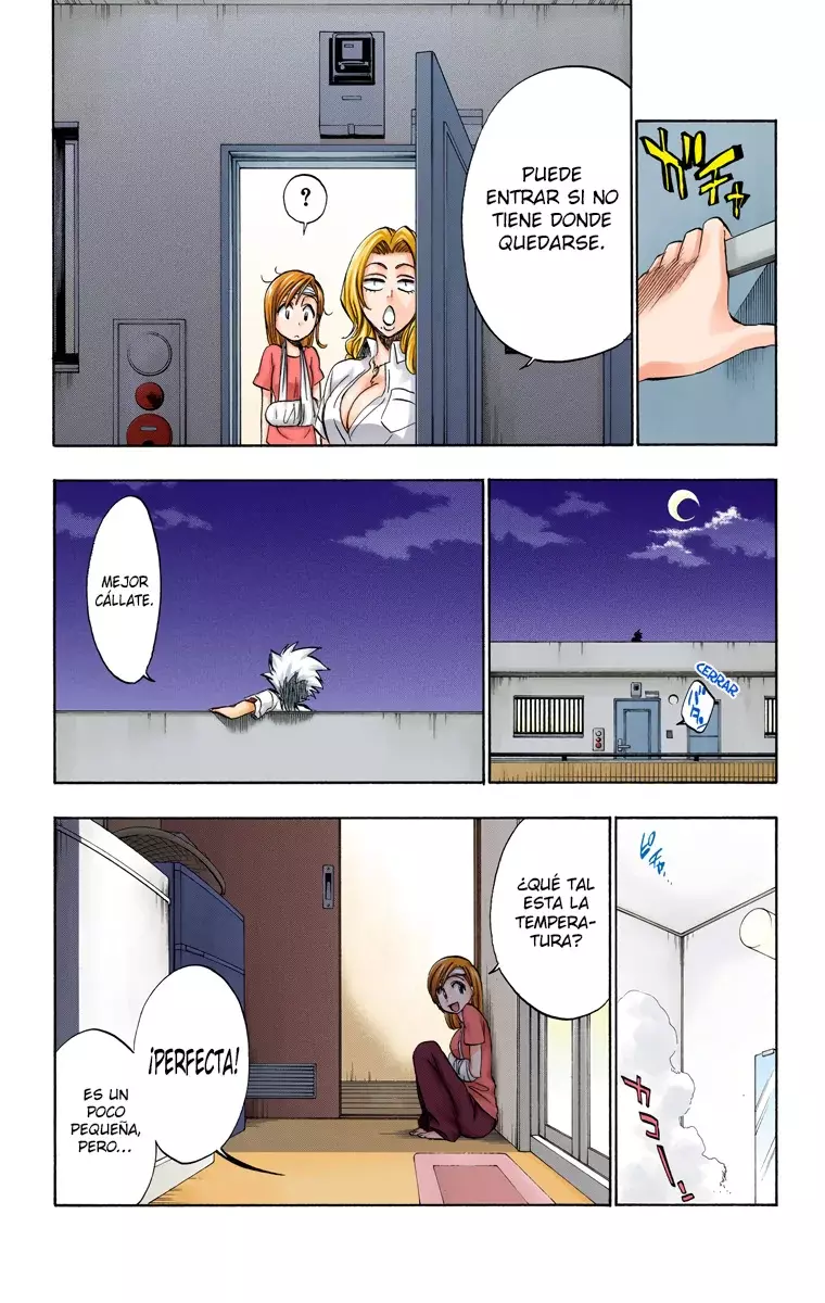 Bleach (Color) capítulo 199, página 7