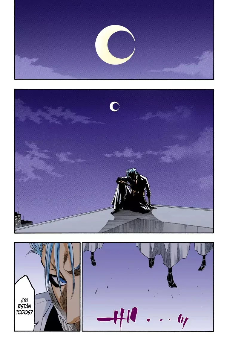 Bleach (Color) capítulo 199, página 15