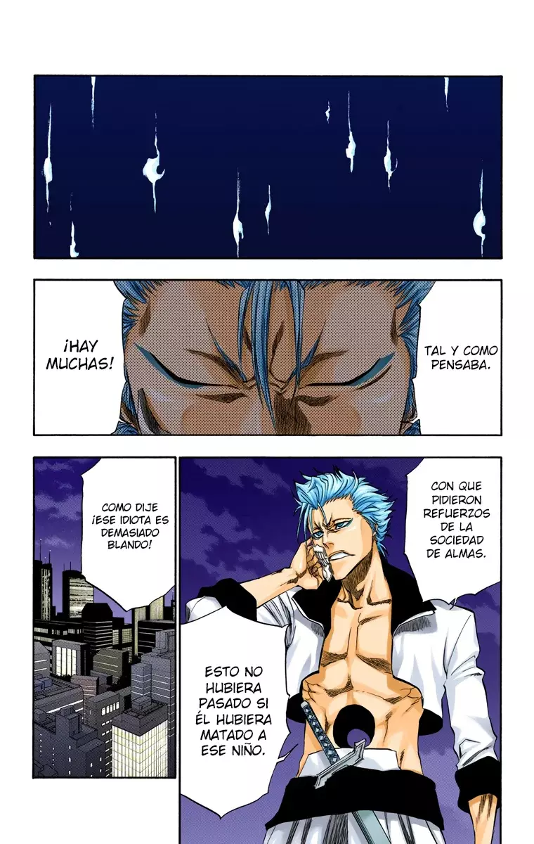 Bleach (Color) capítulo 199, página 18