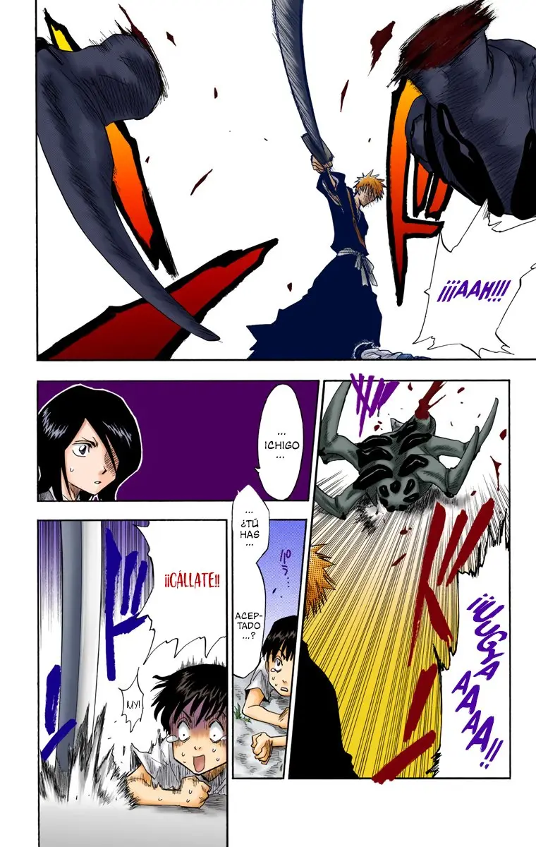 Bleach (Color) capítulo 2, página 21