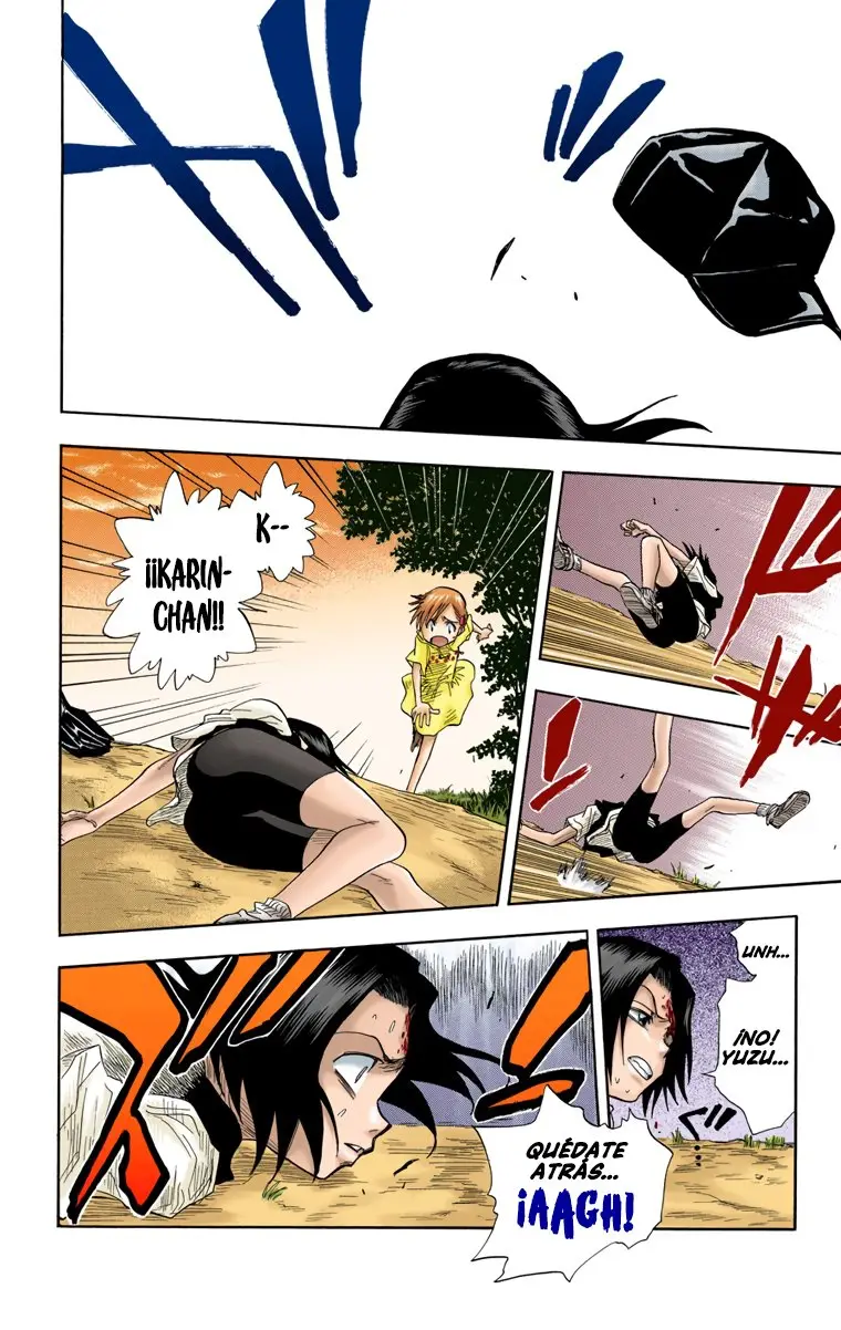 Bleach (Color) capítulo 20, página 15
