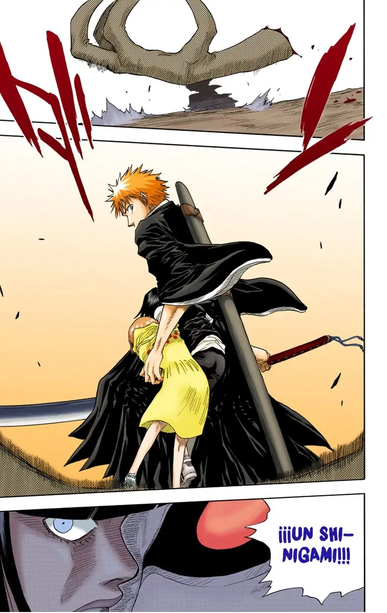 Bleach (Color) capítulo 20, página 22