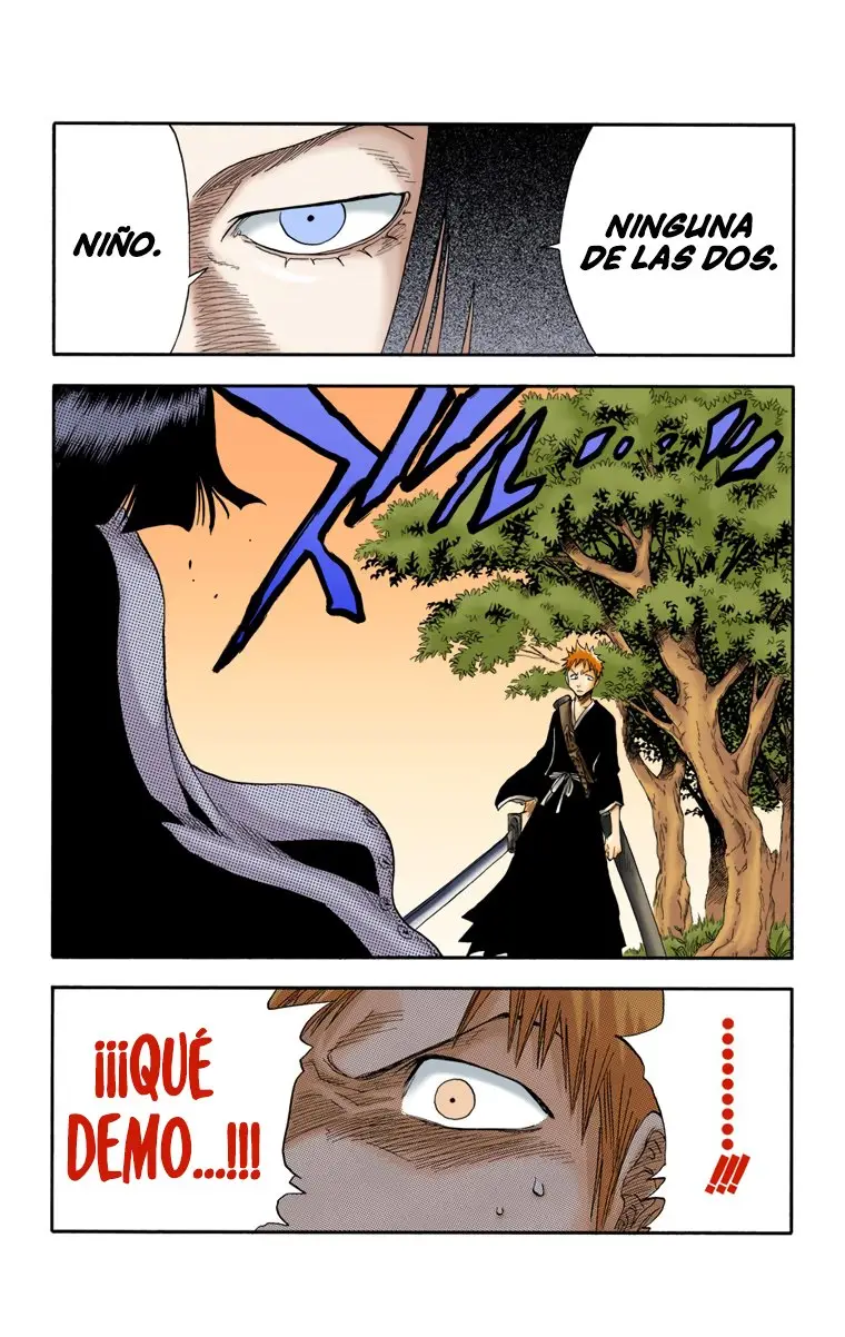 Bleach (Color) capítulo 20, página 24
