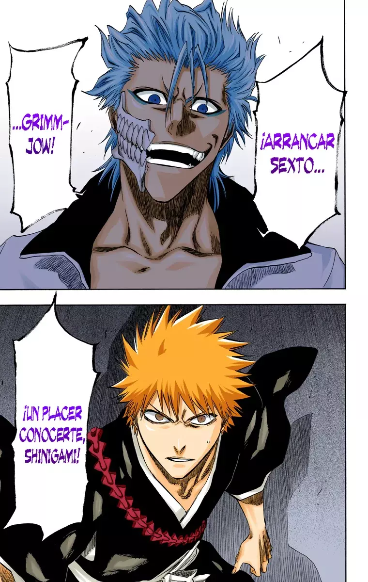 Bleach (Color) capítulo 202, página 8