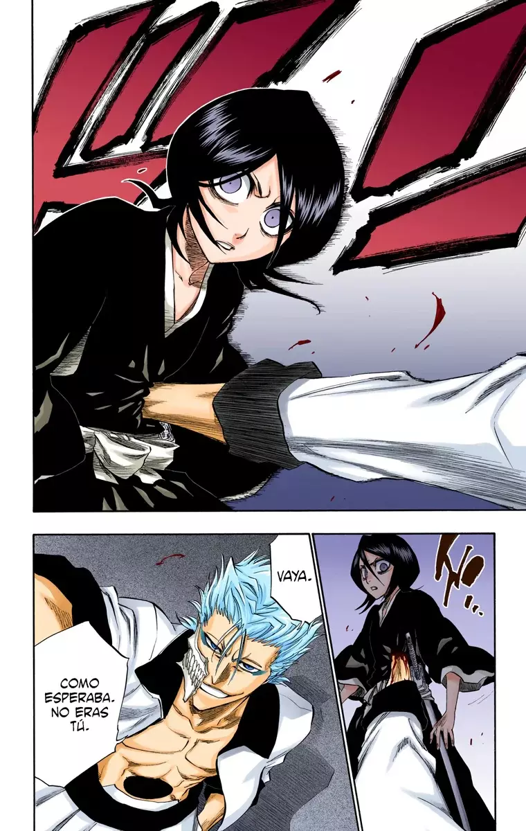 Bleach (Color) capítulo 204, página 8