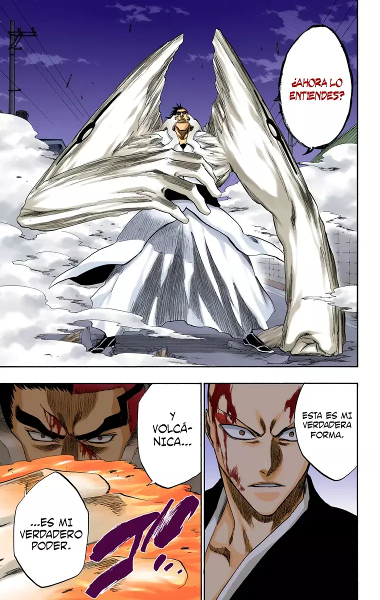 Bleach (Color) capítulo 204, página 11