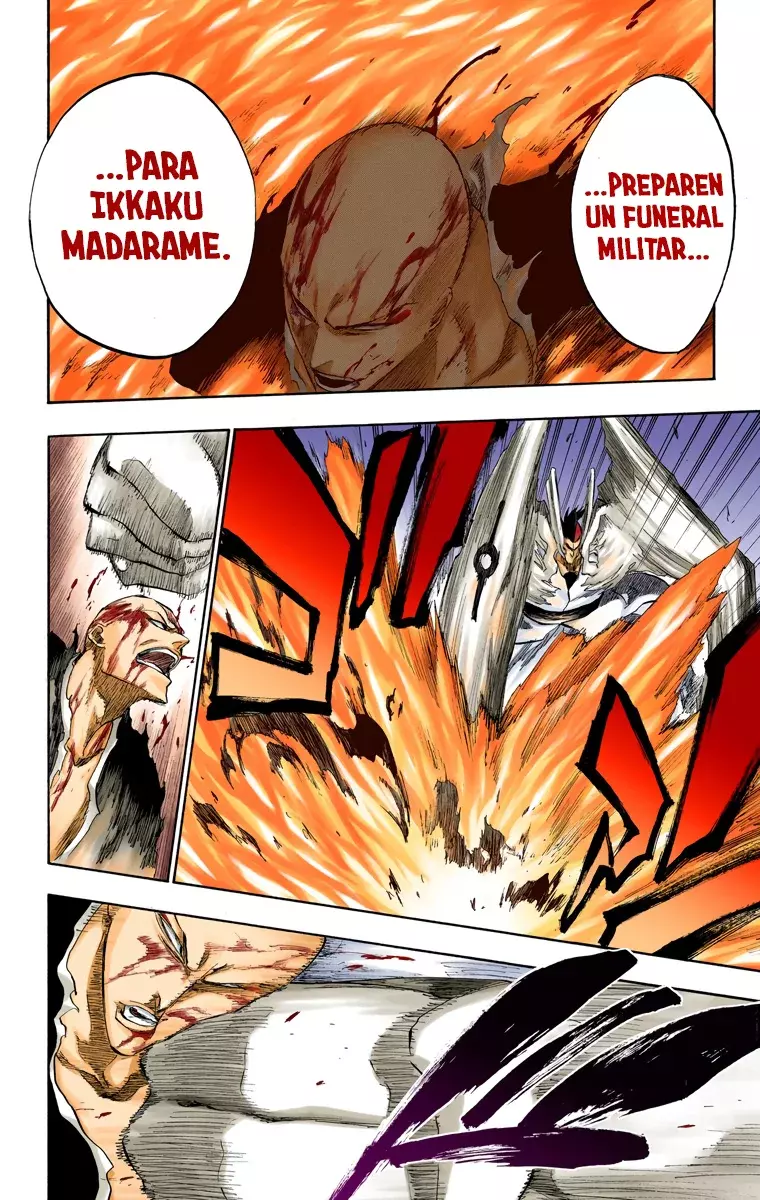 Bleach (Color) capítulo 204, página 14