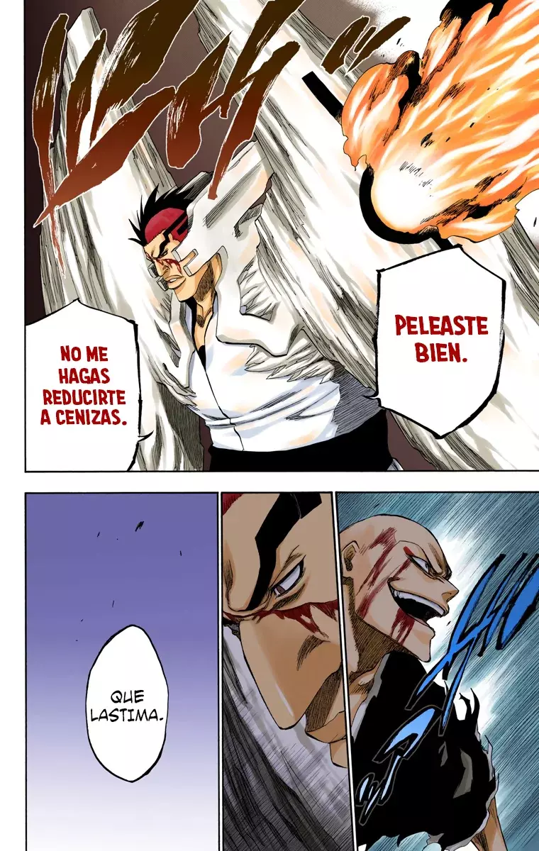 Bleach (Color) capítulo 204, página 20