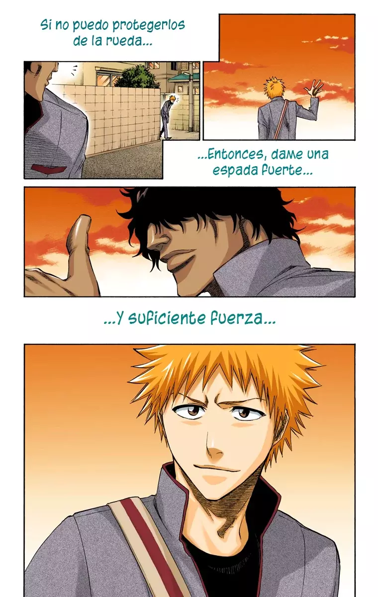 Bleach (Color) capítulo 205.5, página 10