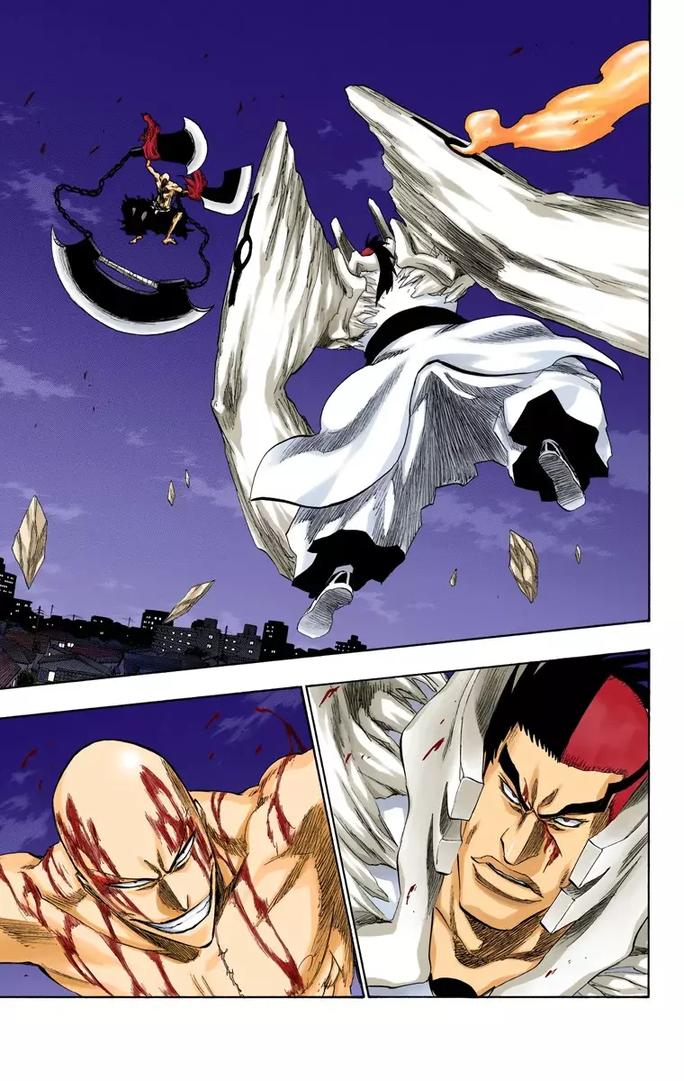Bleach (Color) capítulo 205, página 9