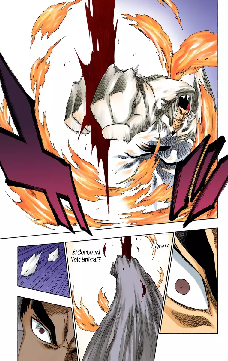 Bleach (Color) capítulo 205, página 11