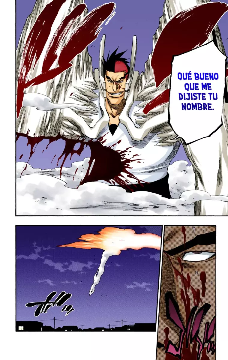 Bleach (Color) capítulo 206, página 9