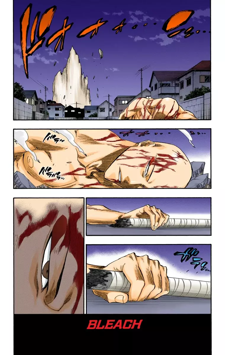 Bleach (Color) capítulo 206, página 10
