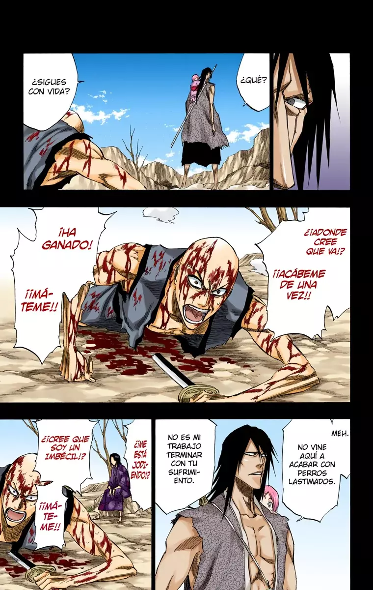 Bleach (Color) capítulo 206, página 12