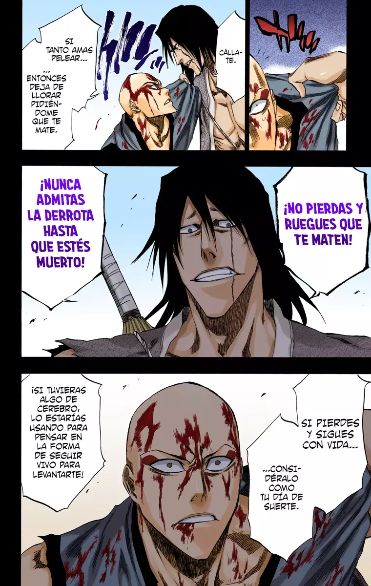 Bleach (Color) capítulo 206, página 13