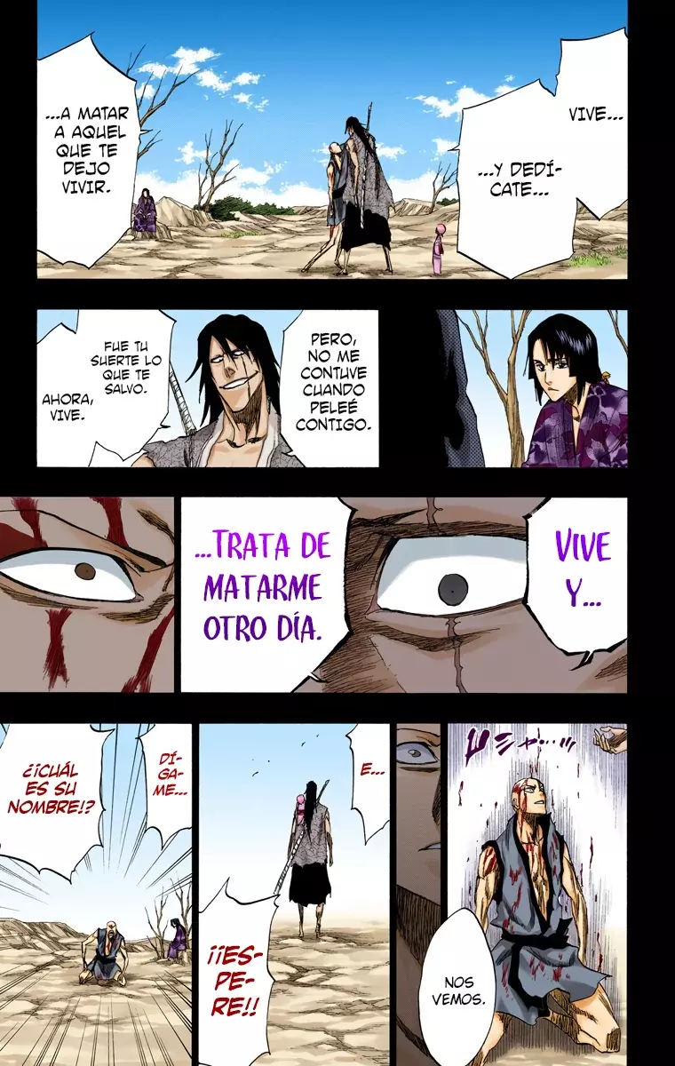 Bleach (Color) capítulo 206, página 14