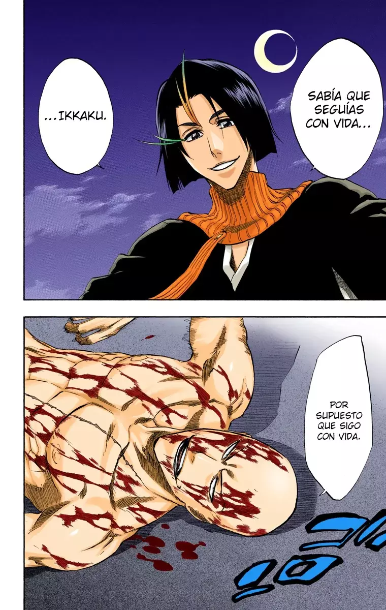 Bleach (Color) capítulo 206, página 21