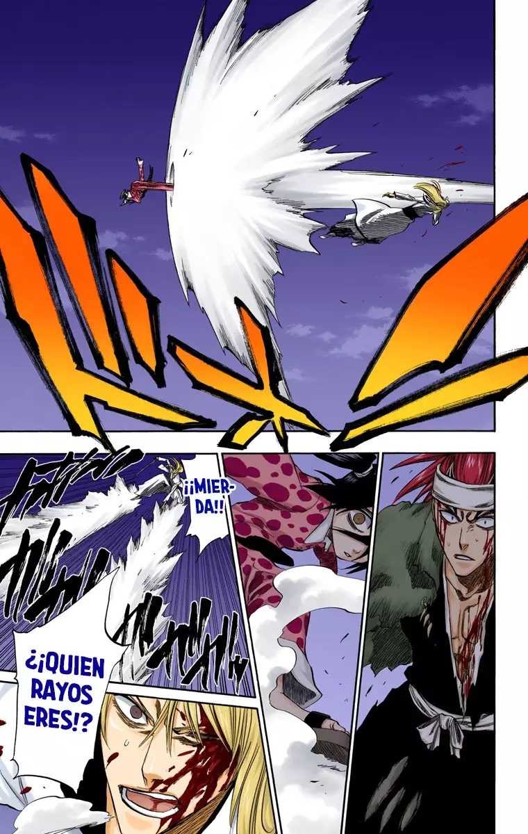 Bleach (Color) capítulo 207, página 14