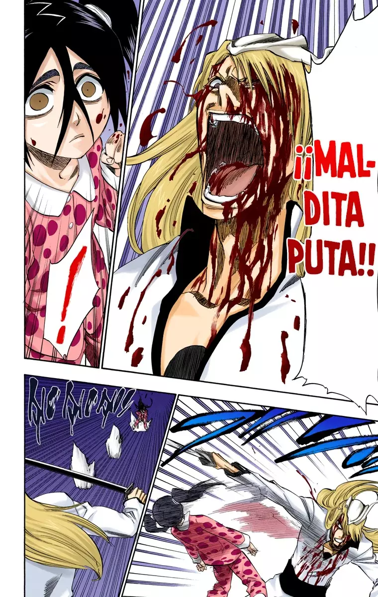 Bleach (Color) capítulo 207, página 17