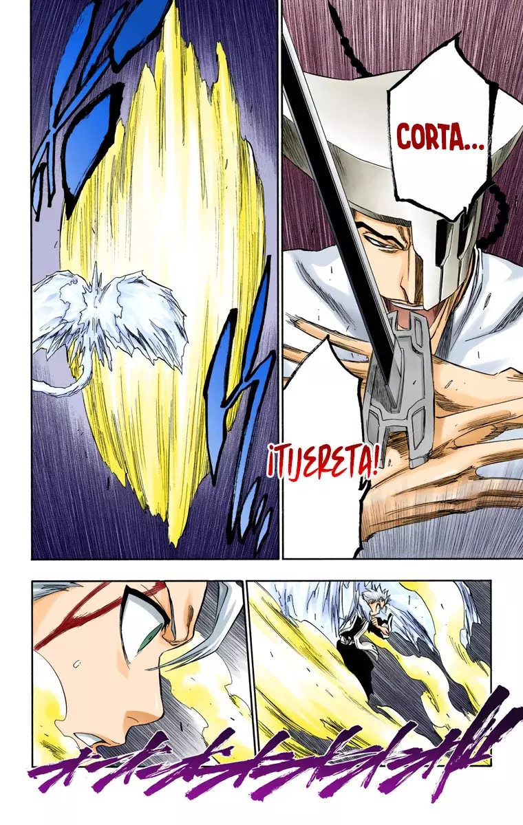 Bleach (Color) capítulo 208, página 17