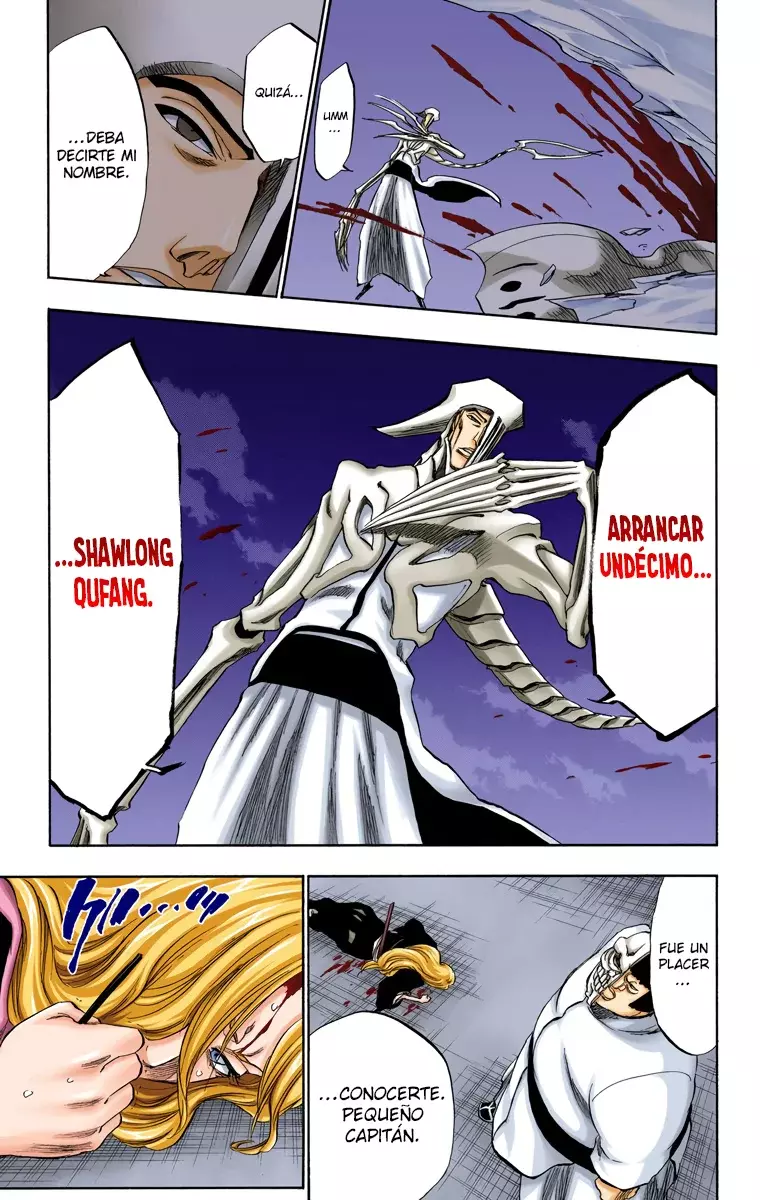 Bleach (Color) capítulo 208, página 20