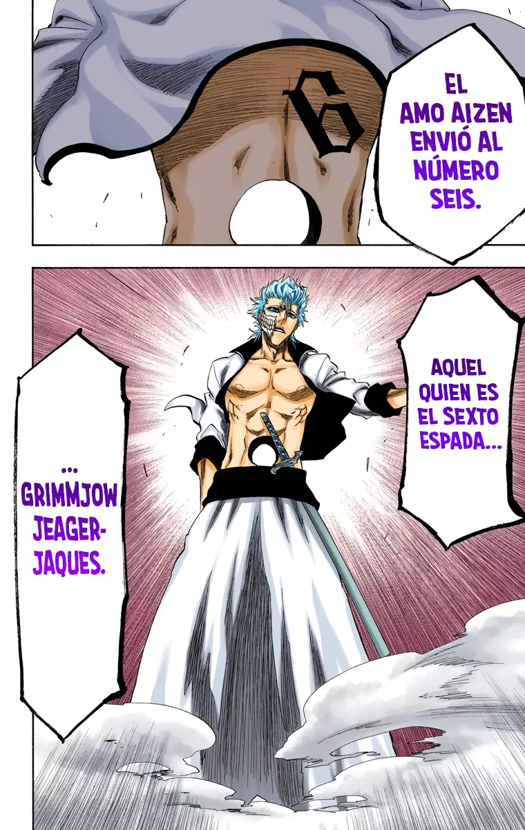 Bleach (Color) capítulo 209, página 7