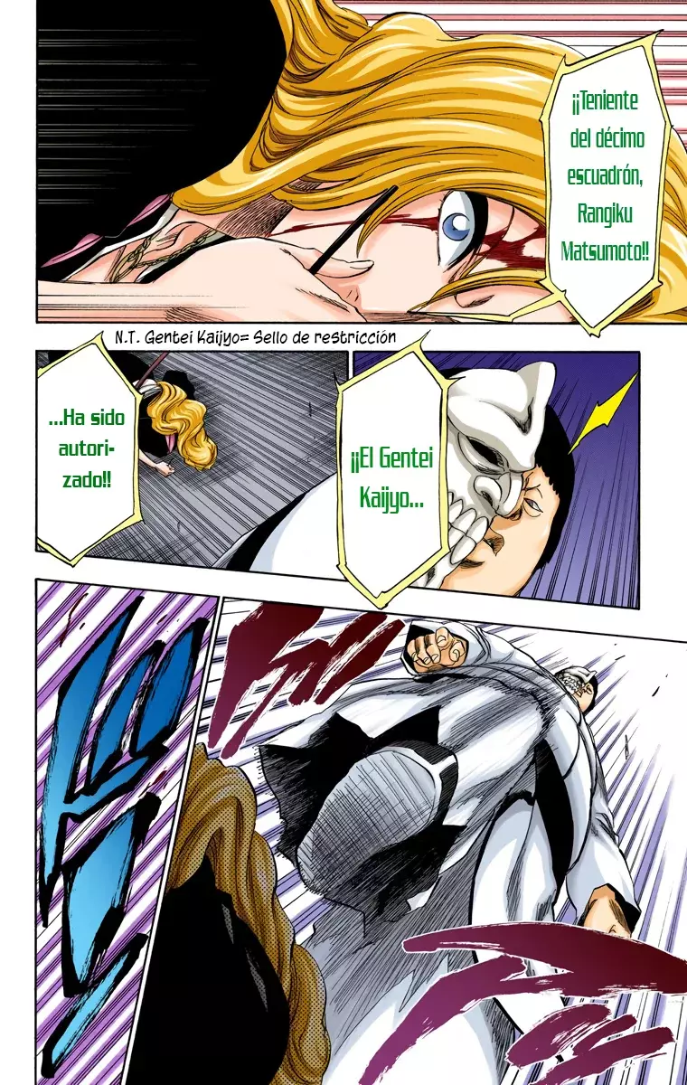 Bleach (Color) capítulo 209, página 13