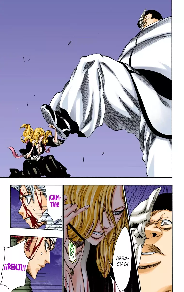 Bleach (Color) capítulo 209, página 14