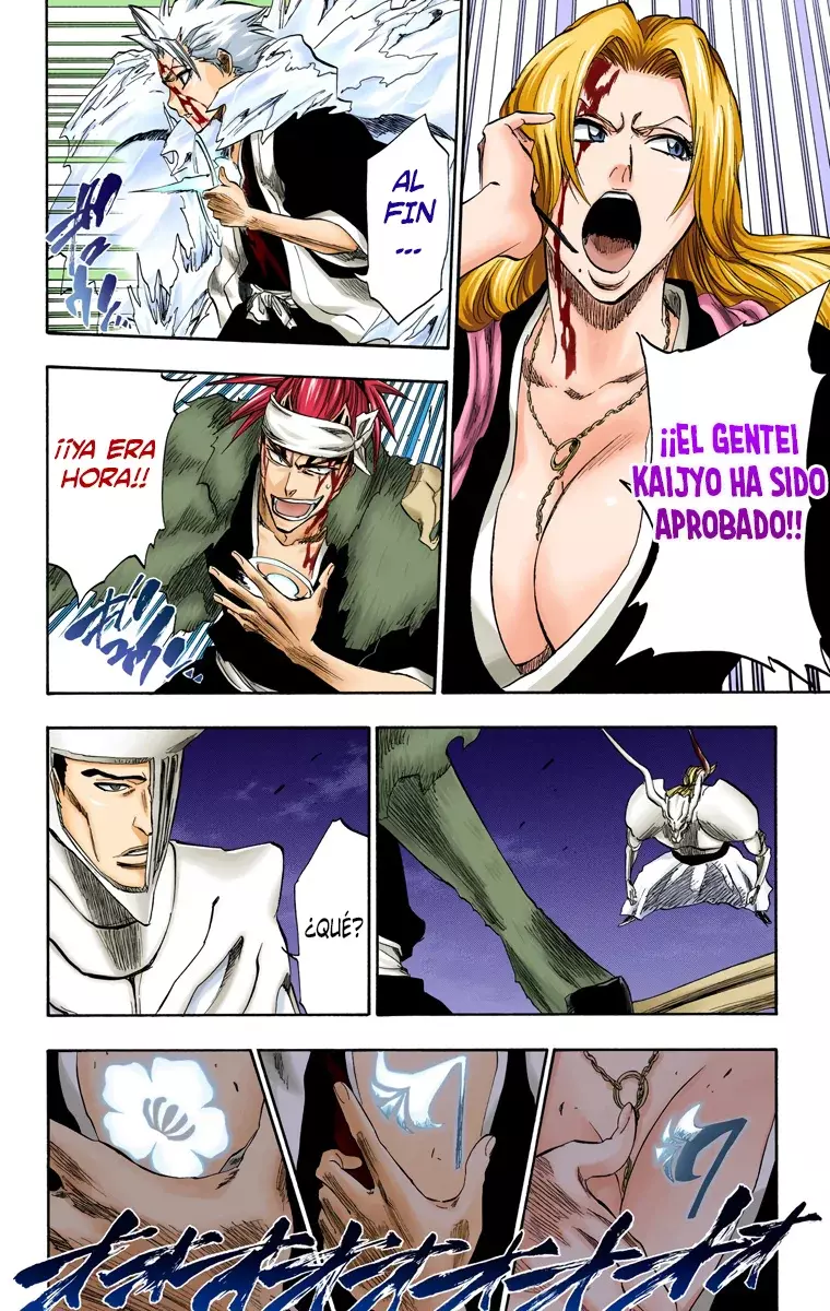 Bleach (Color) capítulo 209, página 15
