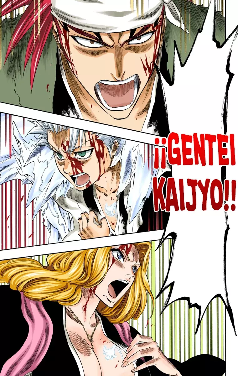 Bleach (Color) capítulo 209, página 16