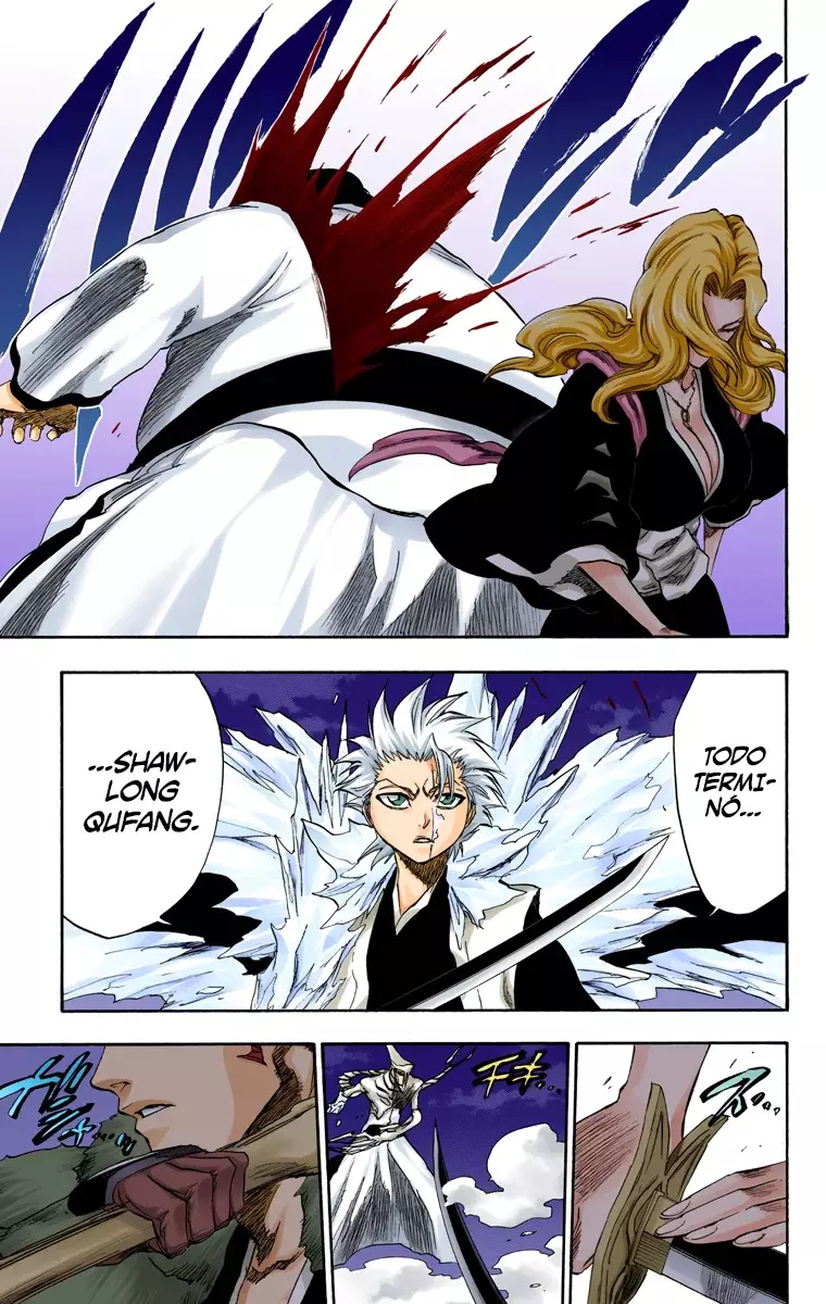Bleach (Color) capítulo 210, página 13