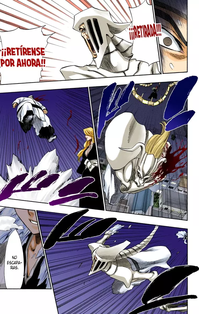 Bleach (Color) capítulo 210, página 15