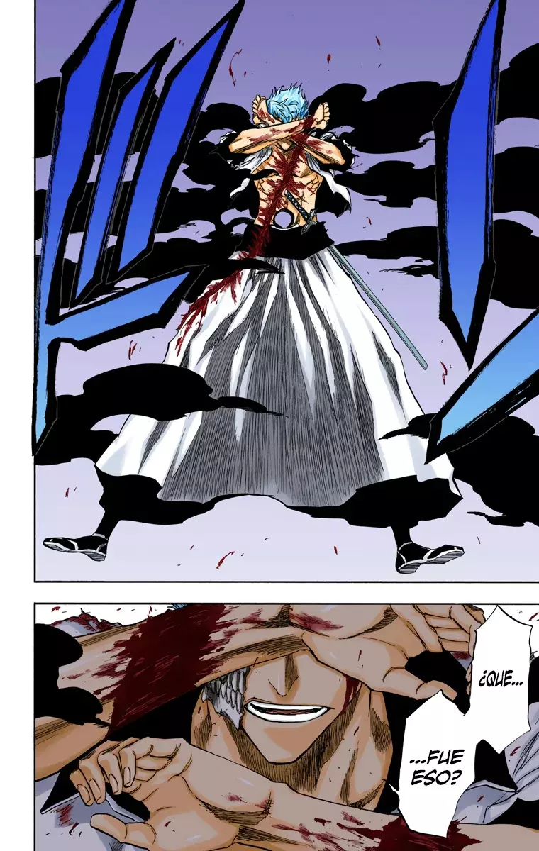 Bleach (Color) capítulo 211, página 16