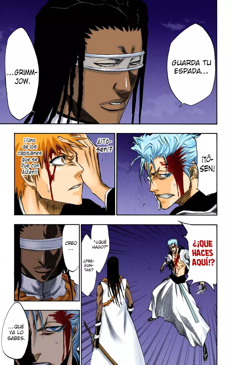 Bleach (Color) capítulo 212, página 8