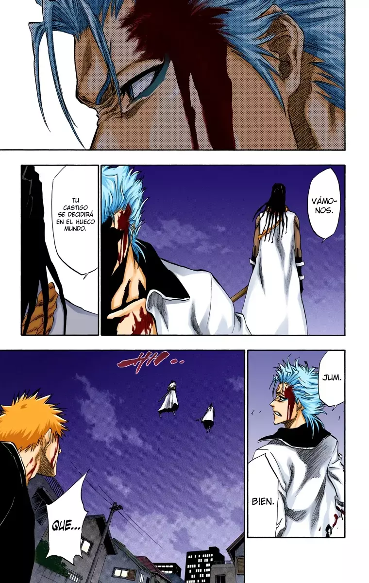 Bleach (Color) capítulo 212, página 10