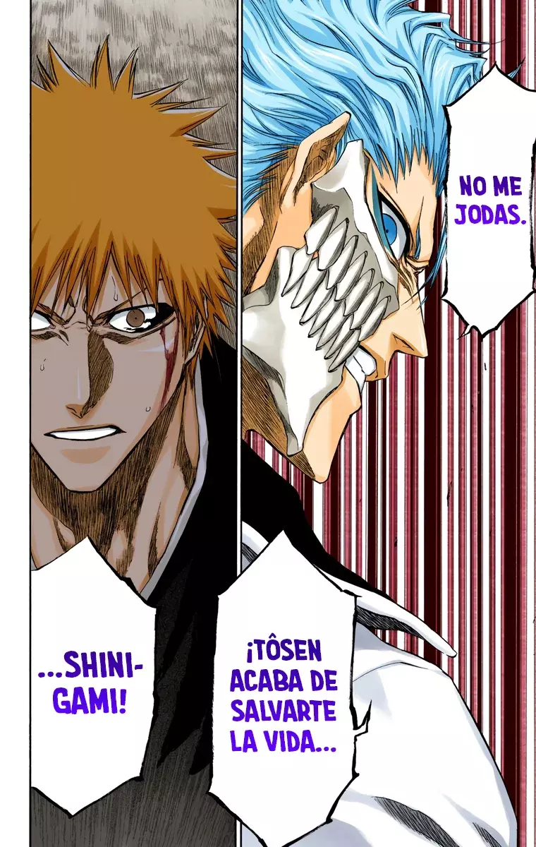 Bleach (Color) capítulo 212, página 13