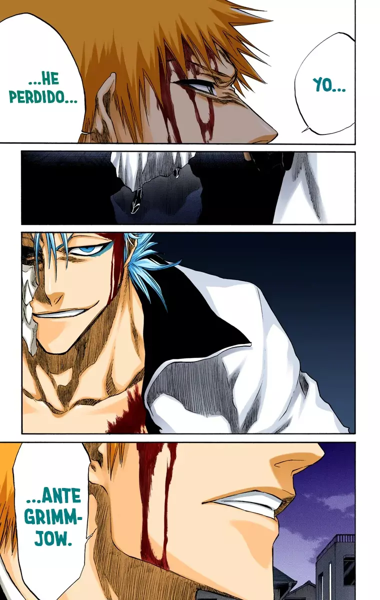Bleach (Color) capítulo 212, página 20