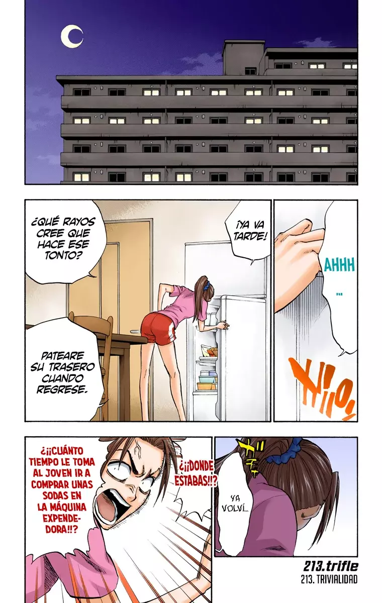Bleach (Color) capítulo 213, página 2