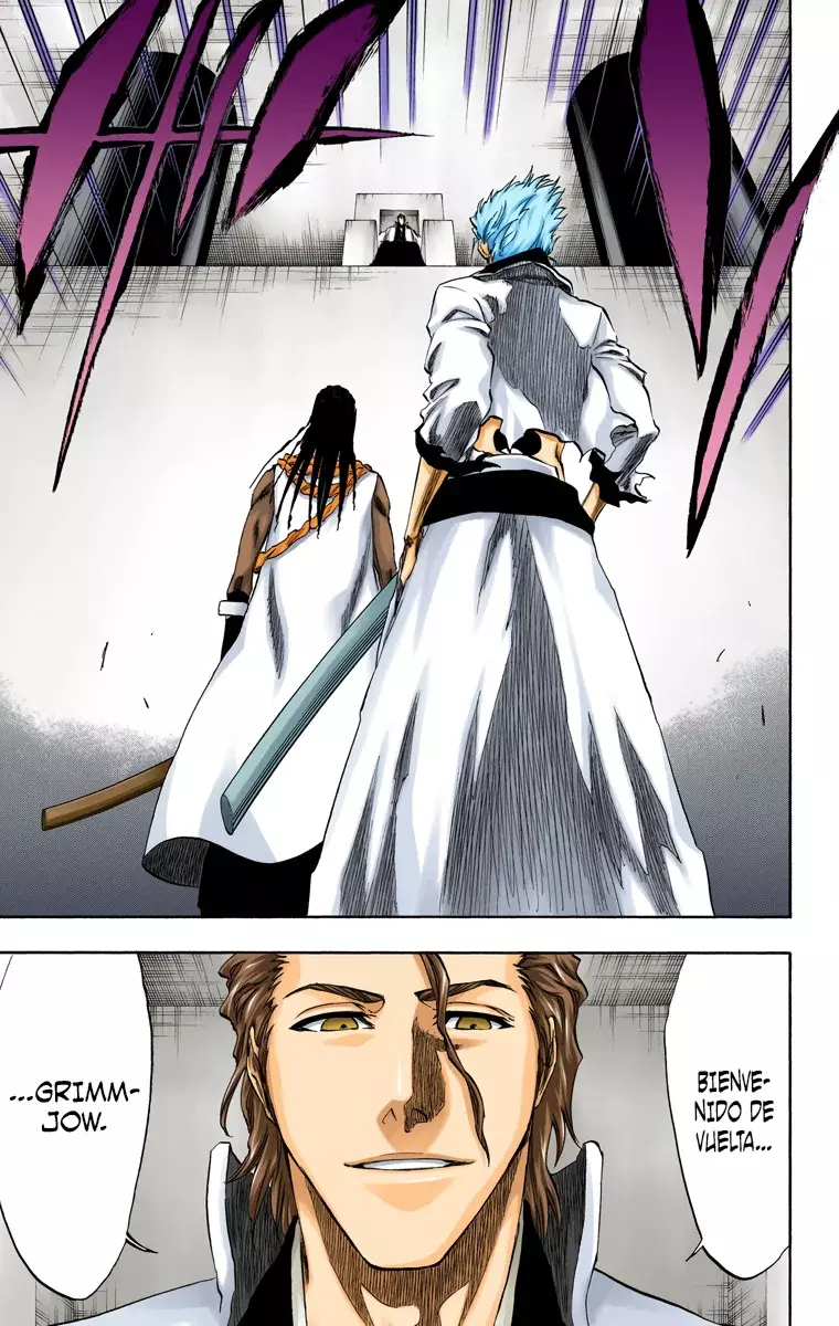 Bleach (Color) capítulo 213, página 10