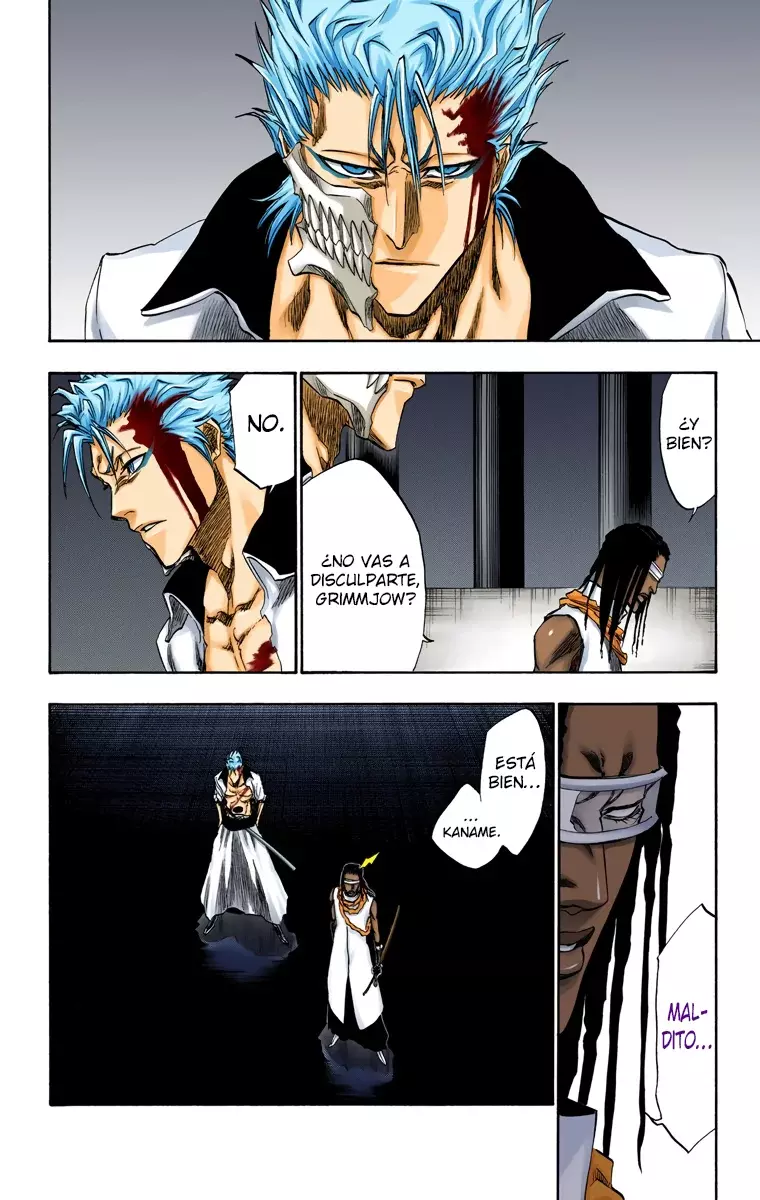 Bleach (Color) capítulo 213, página 11
