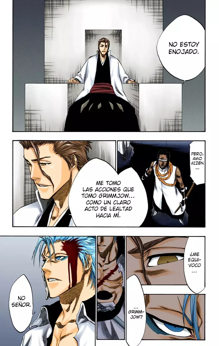 Bleach (Color) capítulo 213, página 12