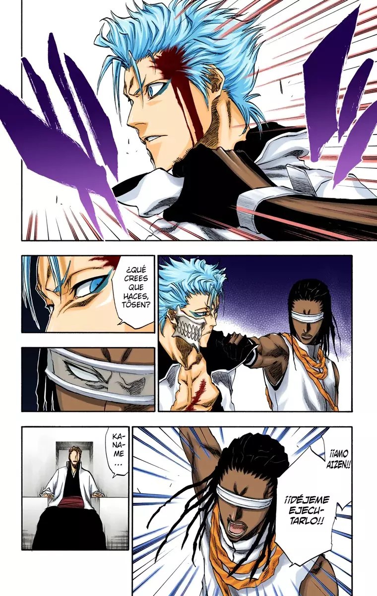 Bleach (Color) capítulo 213, página 13
