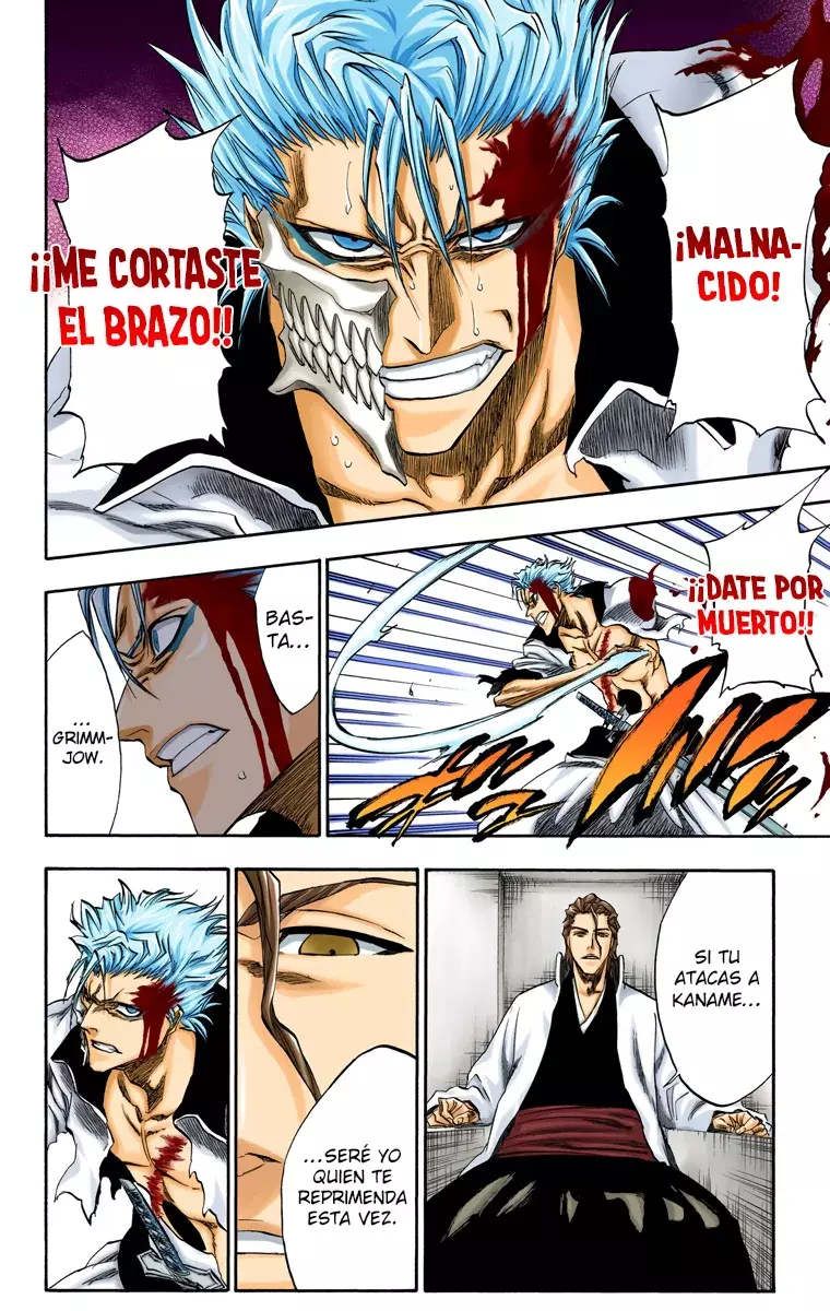 Bleach (Color) capítulo 213, página 17