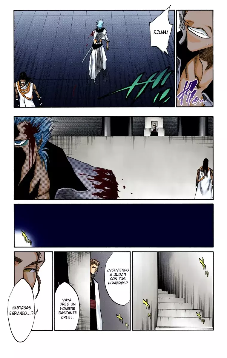 Bleach (Color) capítulo 213, página 18